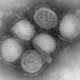 Imagen para el artículo titulado Cómo se dispersa un virus al estornudar dentro de un avión